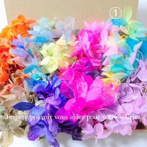 加工花材* ① アジサイ プリザーブドフラワー 花材