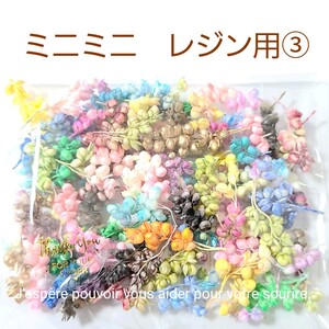 加工花材* ③ ミニミニ インディアンコーン プリザーブドフラワー 花材