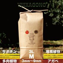 GREAT MIX CULTURE SOIL 【MEDIUM】3L 3mm-9mm サボテン、多肉植物、コーデックス、アガベを対象とした国産プレミアム培養土_画像1