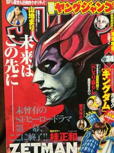 週刊ヤングジャンプ 2014年No.34 グラビア切り抜き 山地まり 葉月ゆめ