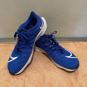NIKE ライバル ズーム フライ