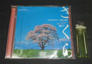 ◆さくら DVD Cherry Blossom リラクゼーションBGV 名所を彩る美しい季節の魔法