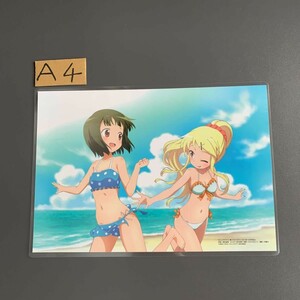 きんいろモザイク　恋愛ラボ　水着　ラミネート　処理品 A4サイズ Dろろ