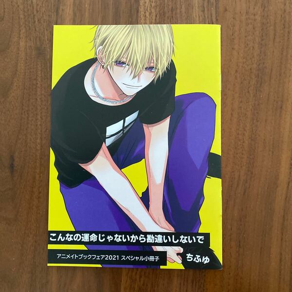 こんなの運命じゃないけら勘違いしないで アニメイトブックフェア2021 スペシャル小冊子　ちふゆ