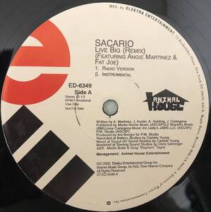 US PROMO / SACARIO / LIVE BIG (REMIX) FEAT ANGIE MARTINEZ FAT JOE / 2002 HIPHOP