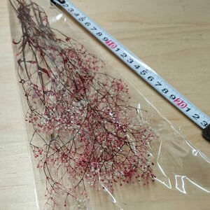 かすみ草 カスミ草 フラワーベール 白ローズ プリザーブドフラワー ドライフラワー ハーバリウム メイクブラシ はなかんむり