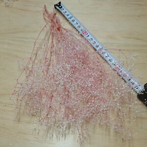 ②かすみ草 カスミ草 フラワーベール白ピンク プリザ 花材 ドライフラワー リース 花束 ハーバリウム メイクブラシはなかんむり