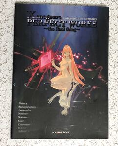 Xenogears PERFECT WORKS the Real thing スクウェア公式ゼノギアス設定資料集/デジキューブ