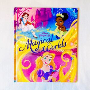 新品/ディズニープリンセス 英語絵本 英単語 洋書 単語辞典 ラプンツェル 他