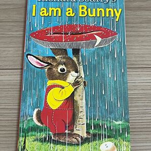 在庫整理セール 新品英語絵本 I am a bunny
