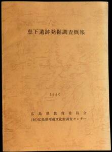 @kp019◆超希少◆『 恵下遺跡発掘調査概報 』◆広島県教育委員 広島県埋蔵文化財調査センター 昭和55年 