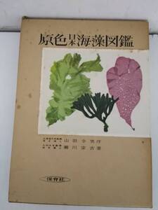 ヤフオク 海藻図鑑の中古品 新品 未使用品一覧 ヤフオク 海藻図鑑の中古品 新品 未使用品一覧