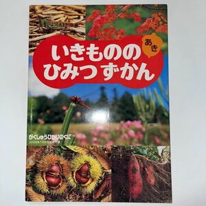 中古★いきもののひみつずかん 秋★がくしゅうひかりのくに★2008年10月号付録