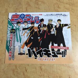 アニメイト きゃらびぃ vol.458(2020.2.5) ハイキュー 表紙 ARP グッズ 浦島坂田船
