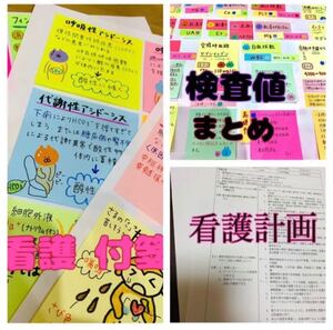 看護 付箋 ノート ★ 検査値 まとめ ★ 看護計画 セット (^^)