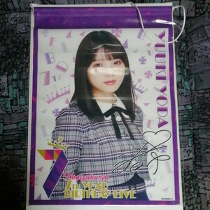与田祐希 7th YEAR BIRTHDAY LIVE 西野七瀬 卒業コンサート 個別タペストリー