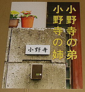 『小野寺の弟・小野寺の姉』プレスシート・Ａ４/向井理、片桐はいり