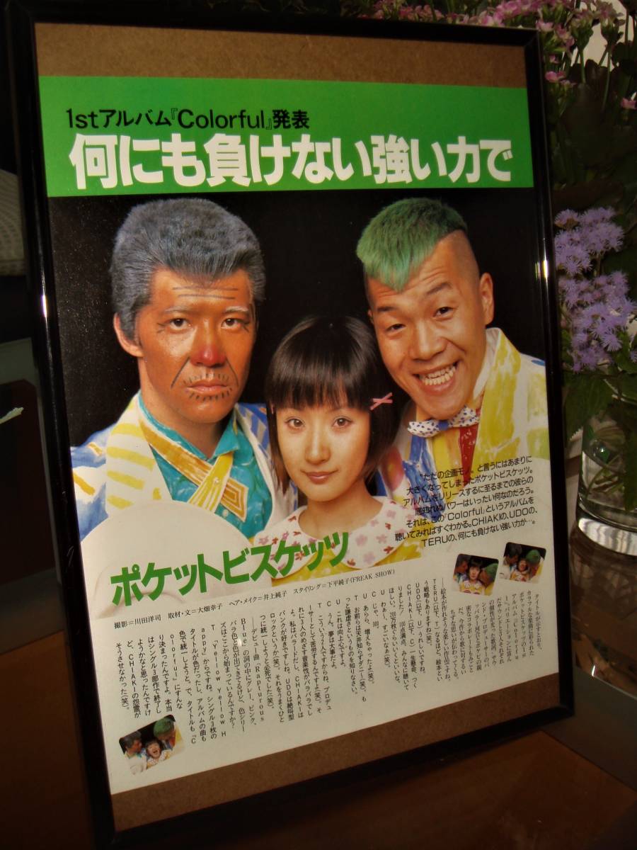 贈り物 ポケットビスケッツ・ブラックビスケッツ CD ポケット