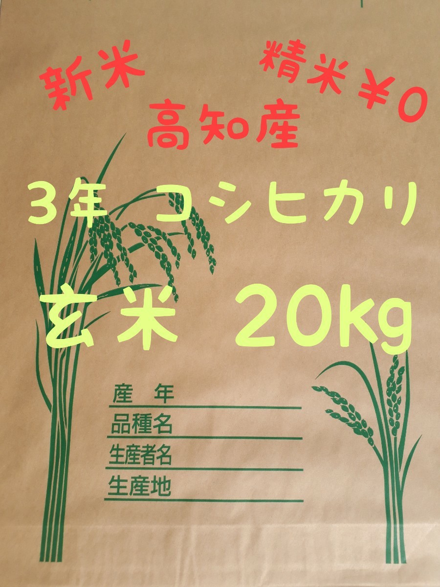 コンビニ受取対応商品】 高食味 令和4年 減農薬栽培 高知コシヒカリ白米10キロ 5kg×2 玄米可能