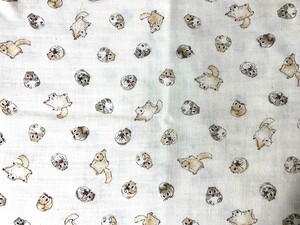はぎれ ハギレ 生地 ハンドメイド リスちゃん柄