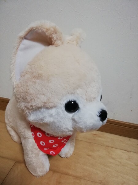 豆しば三兄弟 さすけ