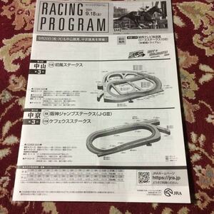 JRAレーシングプログラム2021.9.18(土)阪神ジャンプステークス(J・GⅢ)、初風ステークス、ケフェウスステークス
