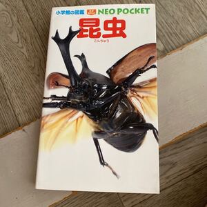 昆虫 (小学館の図鑑 NEOポケット)