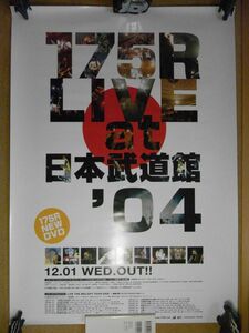 ポスター　175R　LIVE at 武道館2004　DVD　裏面にシミ多数有り　