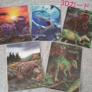 新品未開封 恐竜 3Dカード 5枚セット