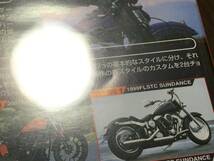 ◆CUSTOM THE HARLEY BASIC SELECTION 1 DVD 国内正規品 セル版 カスタム・ザ・ハーレー 柴崎武彦 即決_画像4