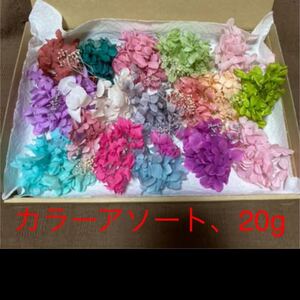 E、ハーバリウム花材 プリザーブドフラワー 紫陽花 大地農園 詰め合わせ