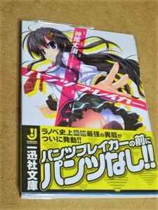 パンツブレイカー (一迅社文庫) 文庫 2011/11/19 神尾 丈治 (著), 丸ちゃん。 (イラスト)