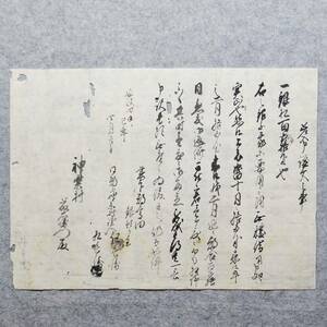 古文書 安政四年 差入申證文之事 神楽村 葛下郡 未解読 詳細不明 奈良県