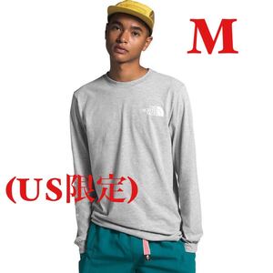 長袖 袖ロゴ ノースフェイス ロンt THE NORTH FACE 長袖Tシャツ ロングスリーブ ロンT