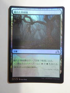 【MTG】★Foil　穢れた果樹園　日本語1枚　イニストラードを覆う影　SOI　アンコモン