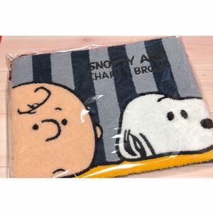 即購入OK!スヌーピー さがら織 ショルダーバッグ さがら刺繍 チャーリーブラウン SNOOPY