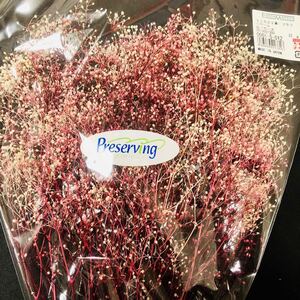 かすみ草 プリザーブドフラワー 大地農園 プリザーブド