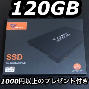 SSD 120GB Vaseky 新品 未開封2.5インチ テレワーク推薦品(1000以上プレゼント付き)限定販売、早い者勝ち