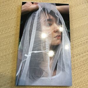 新垣結衣さん 写真集 ナイロンジャパン