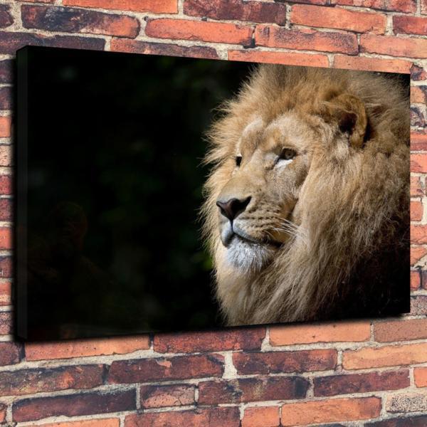 Lion High-quality Canvas Art Panel Photo Poster A1 Foreign Goods Animal Abstract Art Painting Goods Stylish Photo Lion, Printed materials, Poster, others