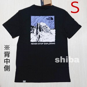 THE NORTH FACE ノースフェイス tシャツ 半袖 黒 紫 ブラック イラストゥレイティブマウンテン 海外Sサイズ