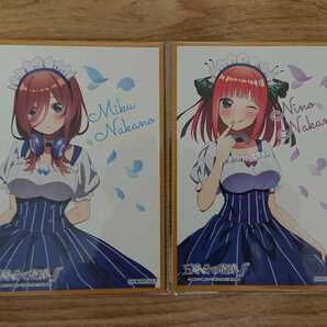 五等分の花嫁★ローソン★ユンケル★コラボ★色紙★中野二乃、中野三玖