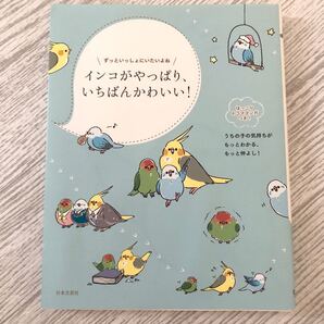 インコがやっぱり、いちばんかわいい! ずっといっしょにいたいよね インコの気持ちがわかる本/只野ことり