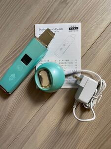 パーフェクトアクアリーボーテ 家庭用 美容器 ミントグリーン