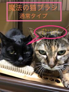 普通タイプ 魔法の猫ブラシ 猫犬様の健康を考えたブラシ 久々に登場!