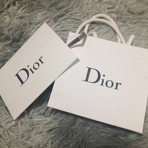 Dior ディオール 紙袋 ショッパー