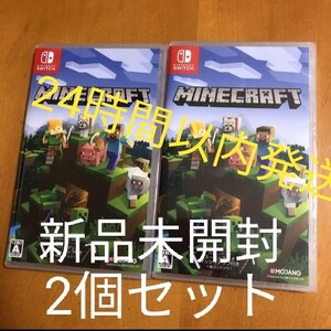 新品未開封 2個 マインクラフト Minecraft Nintendo switch ニンテンドースイッチ