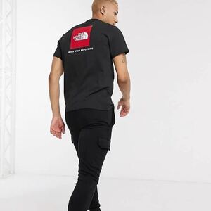 ノースフェイスTシャツ ボックスロゴ THE NORTH FACE Lサイズ USモデル