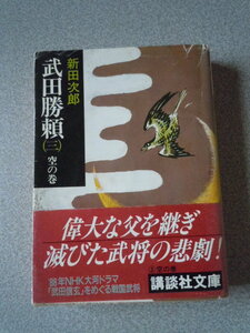 武田勝頼（三）空の巻　　新田次郎　講談社文庫