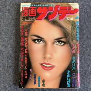 週刊 漫画サンデー 1981年7/14 まんだら屋の良太畑中純 男魂ケン・月影 地獄の軍団辰巳ヨシヒロ 横山まさみち 北野英明 土山しげる川本コウ